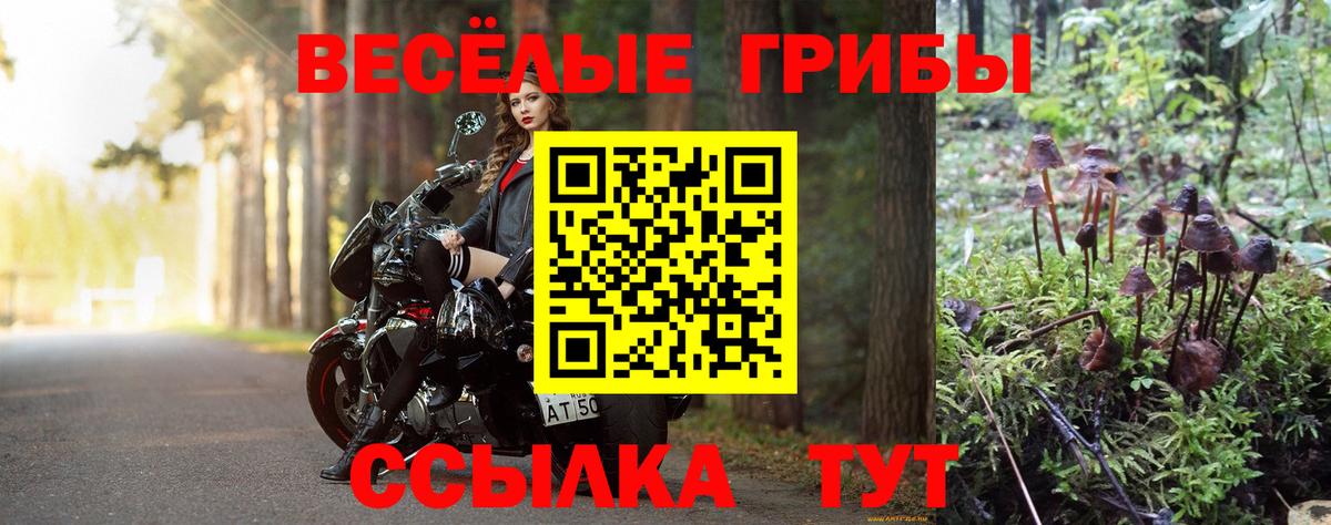 Псилоцибиновые грибы ЛСД  Вход с VPN  Узловая  Галлюциногенные грибы Psilocybine cubensis 